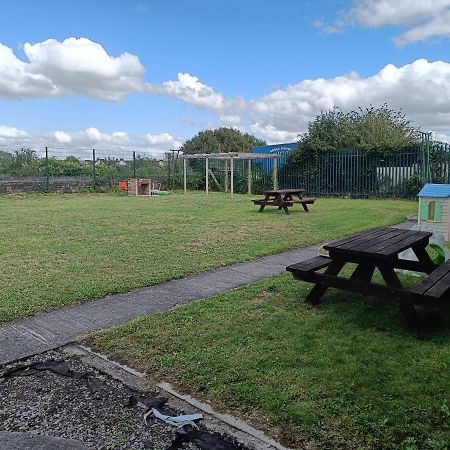 Y Doc At World Horizons Community Hub Hostel Llanelli Buitenkant foto